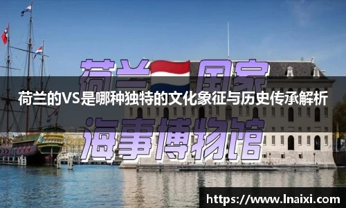荷兰的VS是哪种独特的文化象征与历史传承解析